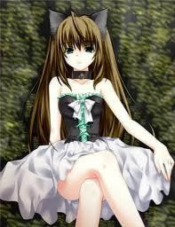 eu votez pe diablo userul anului