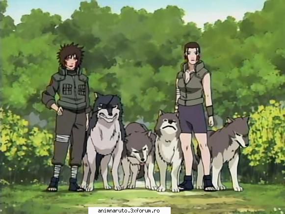 Kiba Inuzuka - Kiba Inuzuka (犬塚キバ - Naruto - Despre personaje